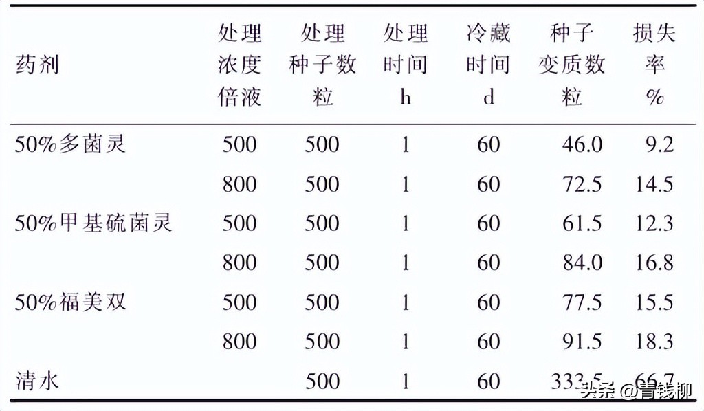 白玉兰种子储藏和育苗技术