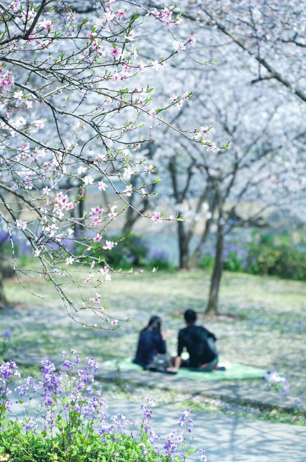 三月三传统文化介绍，一个富有浪漫情调的节日